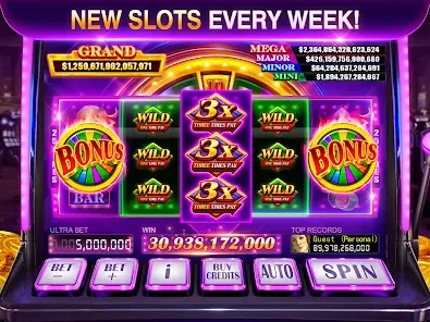EvoBet33 एप स्क्रीनशट २